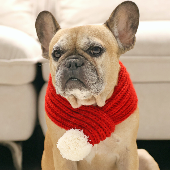 Christmas Sweater + Beanie Combo