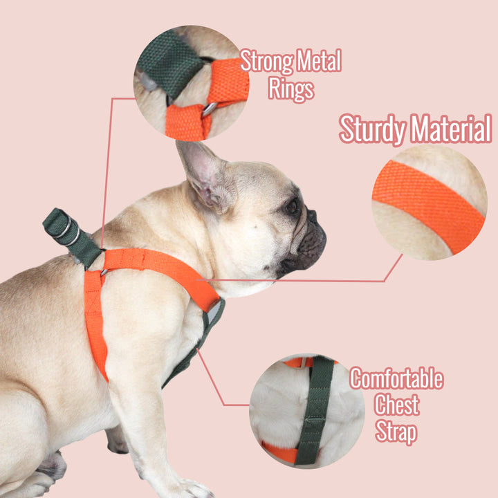 Cherry Plum/Gray Easy Peasy Harness Set