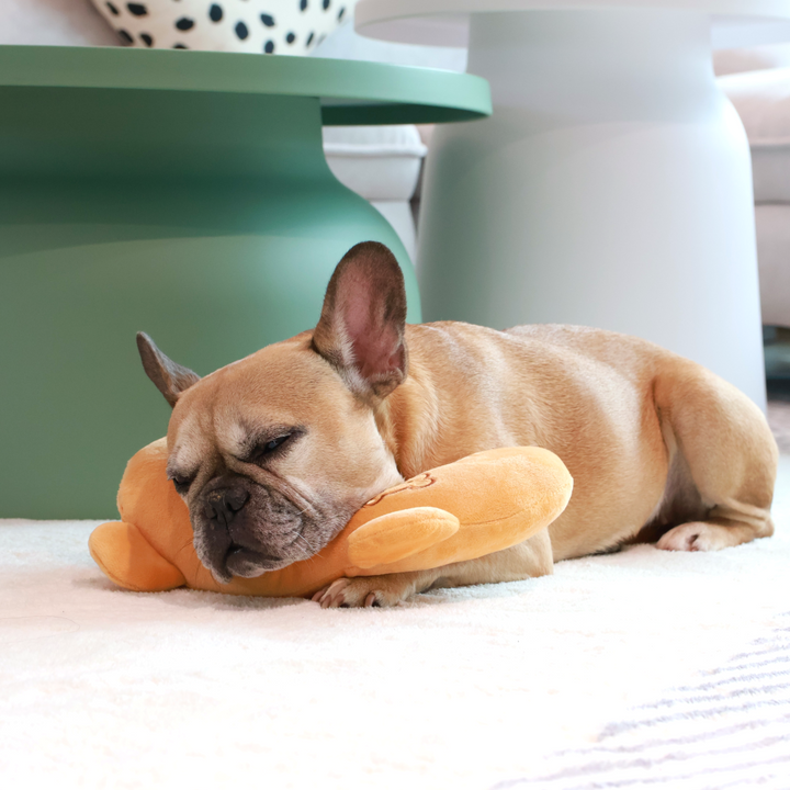 Soothing Pet Pillow - Animal