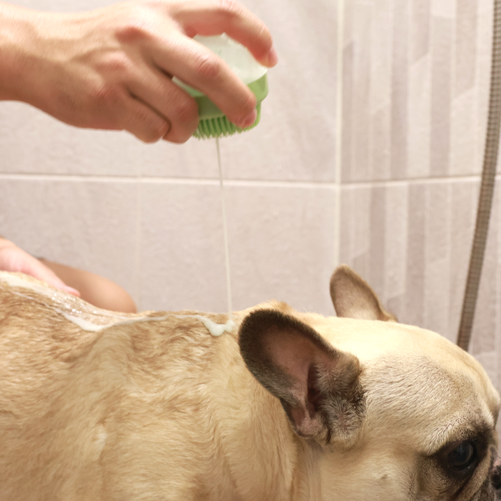 Foaming Globe Massage Brush