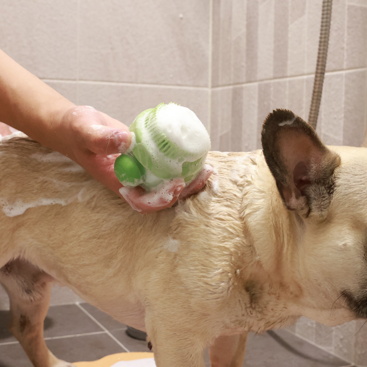 Foaming Globe Massage Brush