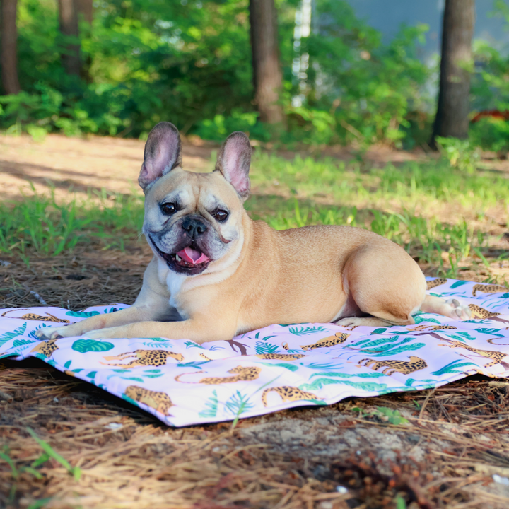 Calming Travel Mat