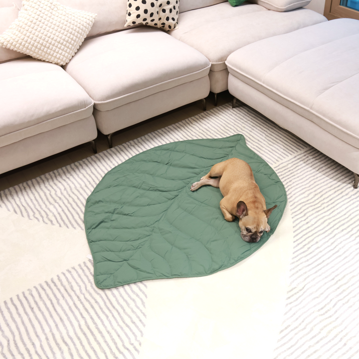 Griffin's Haru Mellow Mat dog bed dog blanket couch throw