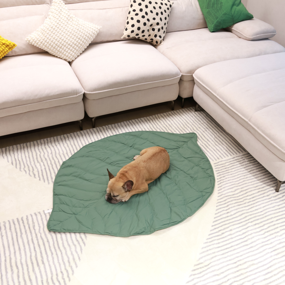 Griffin's Haru Mellow Mat dog bed dog blanket couch throw