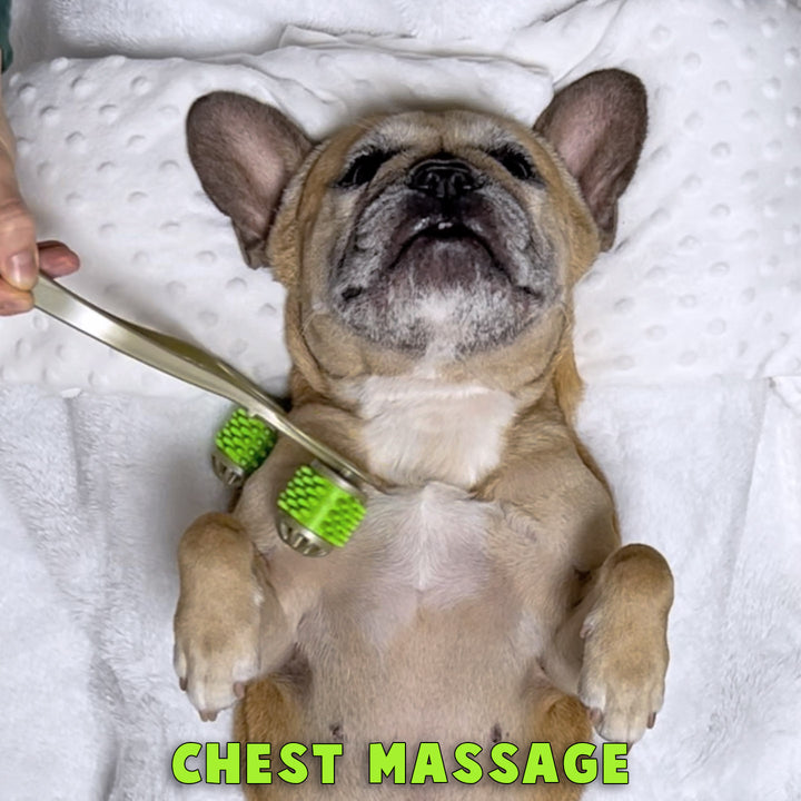 Multi Roller 3 In 1 Doggo Massager
