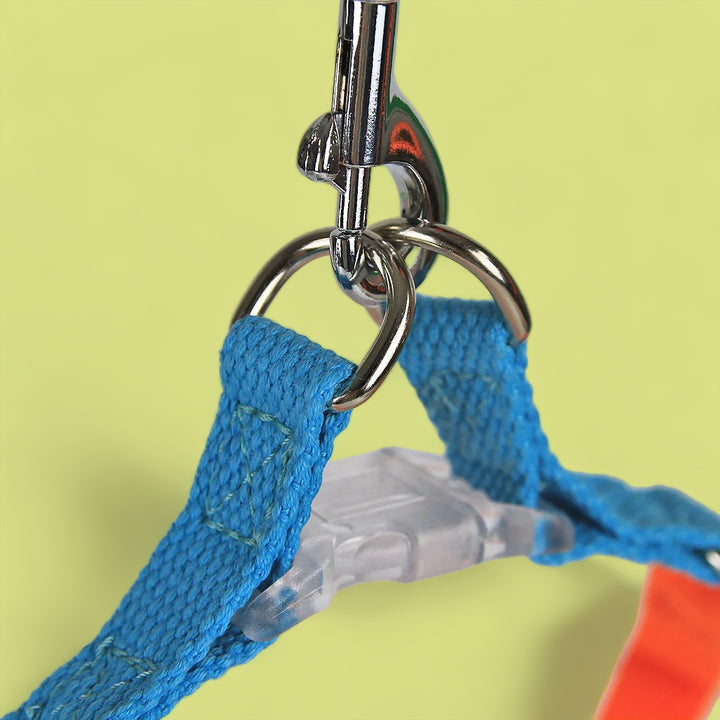 Electric Blue/Fanta Sleek Easy Peasy Harness Set