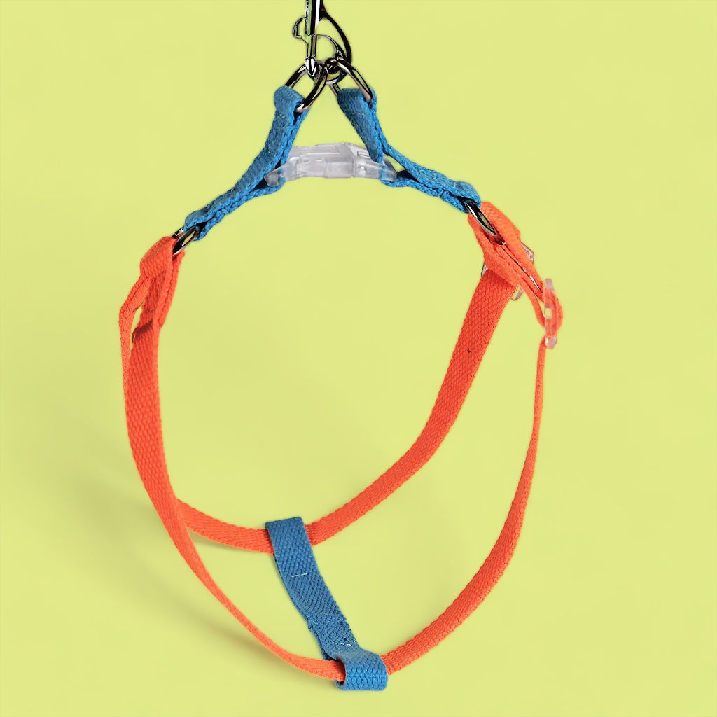 Electric Blue/Fanta Sleek Easy Peasy Harness Set