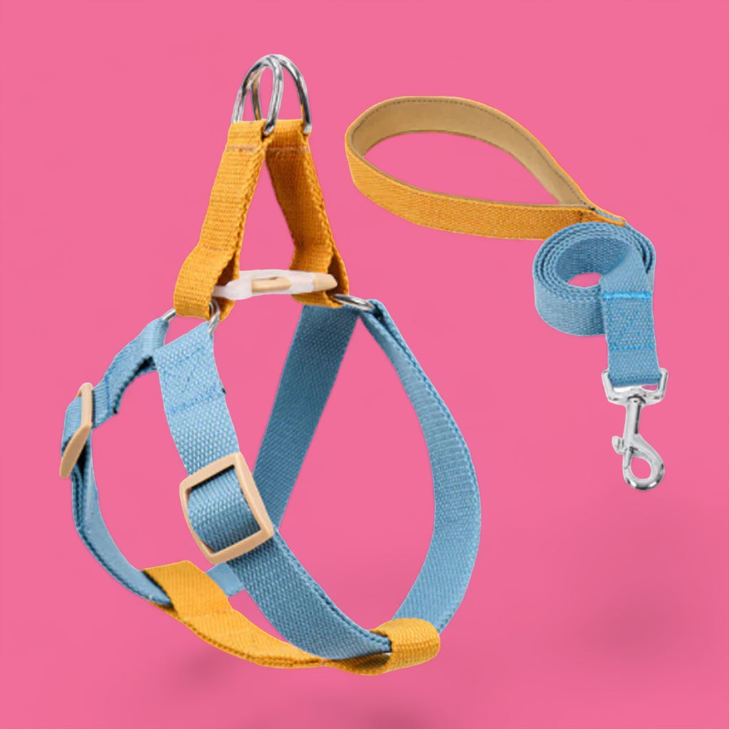 Mustard/Blue Easy Peasy Harness Set