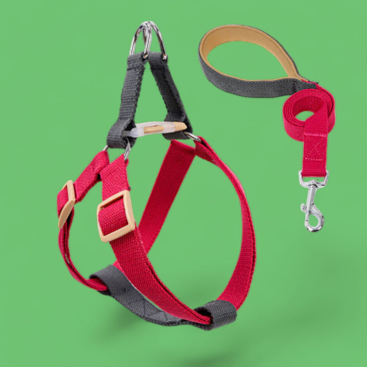 Cherry Plum/Gray Easy Peasy Harness Set