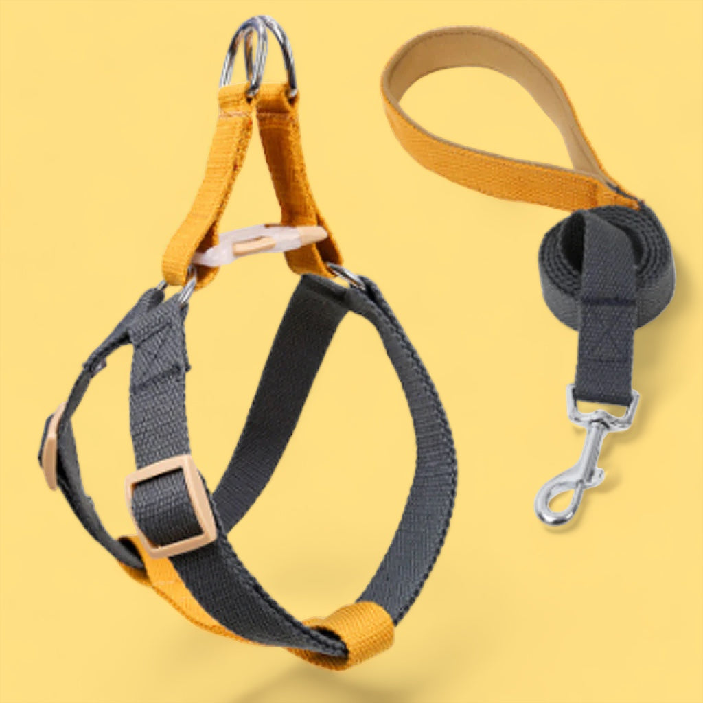 Storm Gray/Mustard Easy Peasy Harness Set