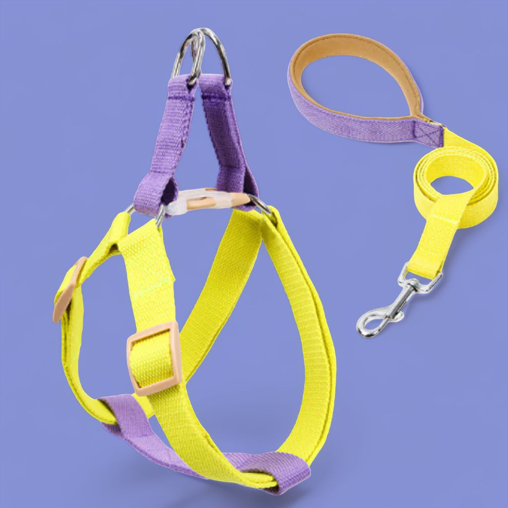 Grape/Yellow Easy Peasy Harness Set
