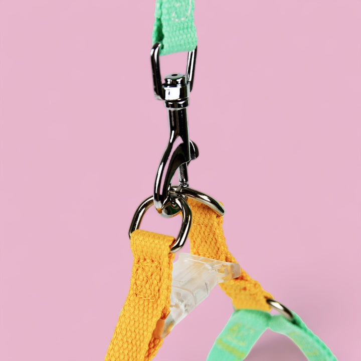 Mellow Yellow/Mint Sleek Easy Peasy Harness Set