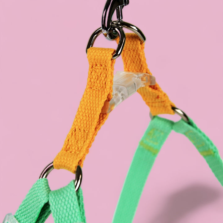 Mellow Yellow/Mint Sleek Easy Peasy Harness Set