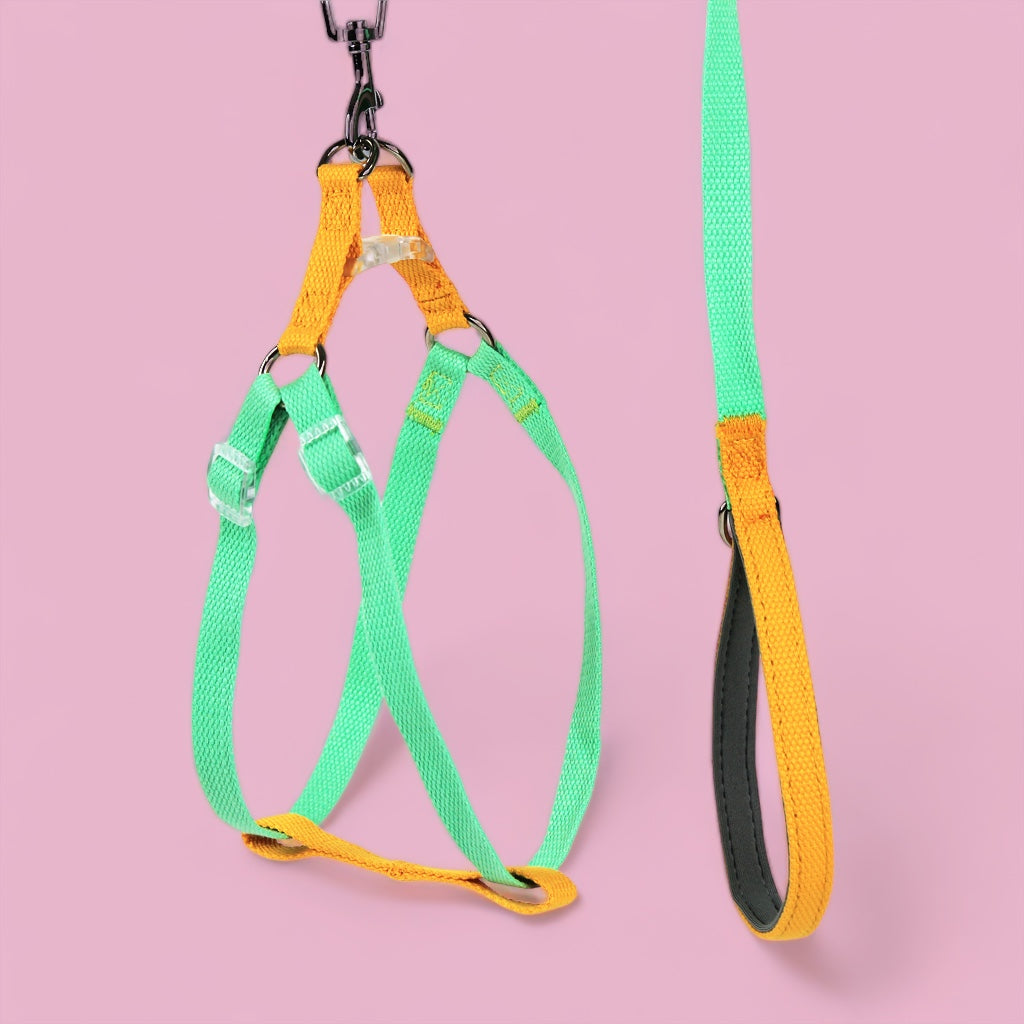 Mellow Yellow/Mint Sleek Easy Peasy Harness Set