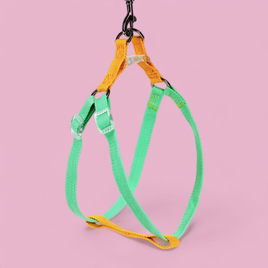 Mellow Yellow/Mint Sleek Easy Peasy Harness Set