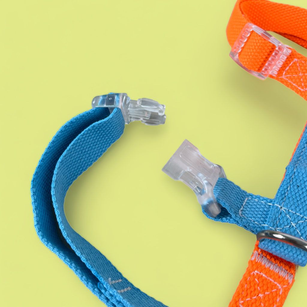 Double Strap Easy Peasy Harness - Electric Blue & Fanta