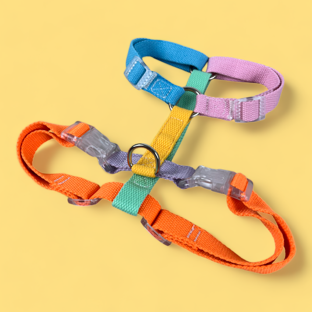 Double Strap Easy Peasy Harness - Rainbow