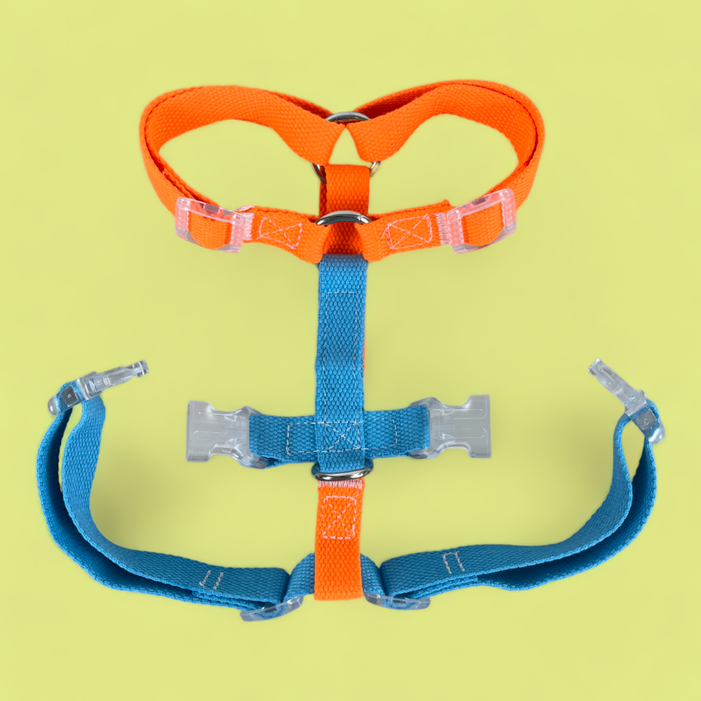 Double Strap Easy Peasy Harness - Electric Blue & Fanta