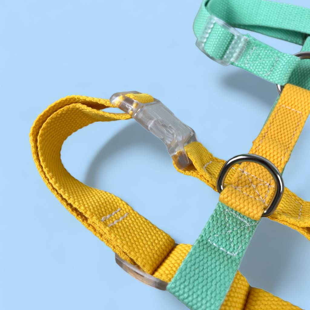 Double Strap Easy Peasy Harness -Mint & Yellow