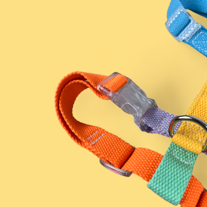 Double Strap Easy Peasy Harness - Rainbow