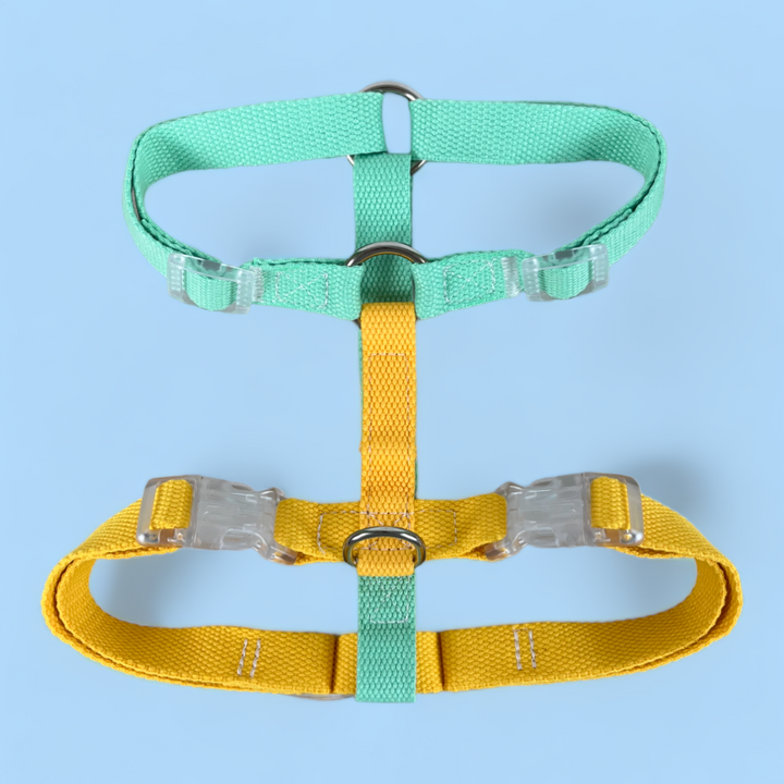 Double Strap Easy Peasy Harness -Mint & Yellow