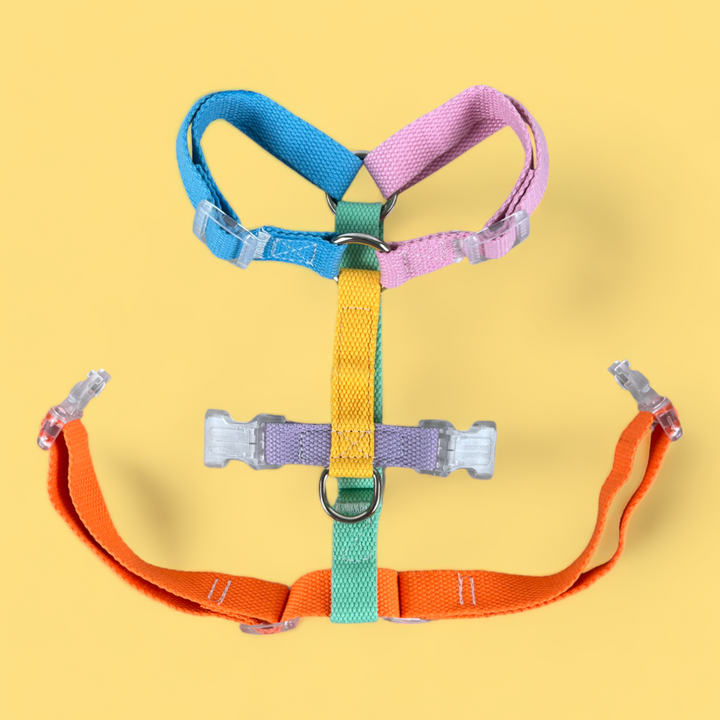 Double Strap Easy Peasy Harness - Rainbow