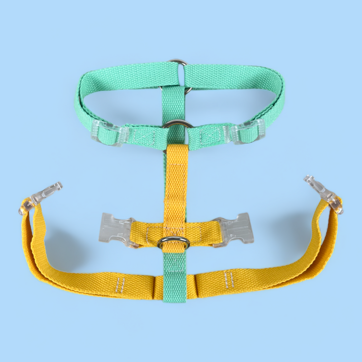 Double Strap Easy Peasy Harness -Mint & Yellow
