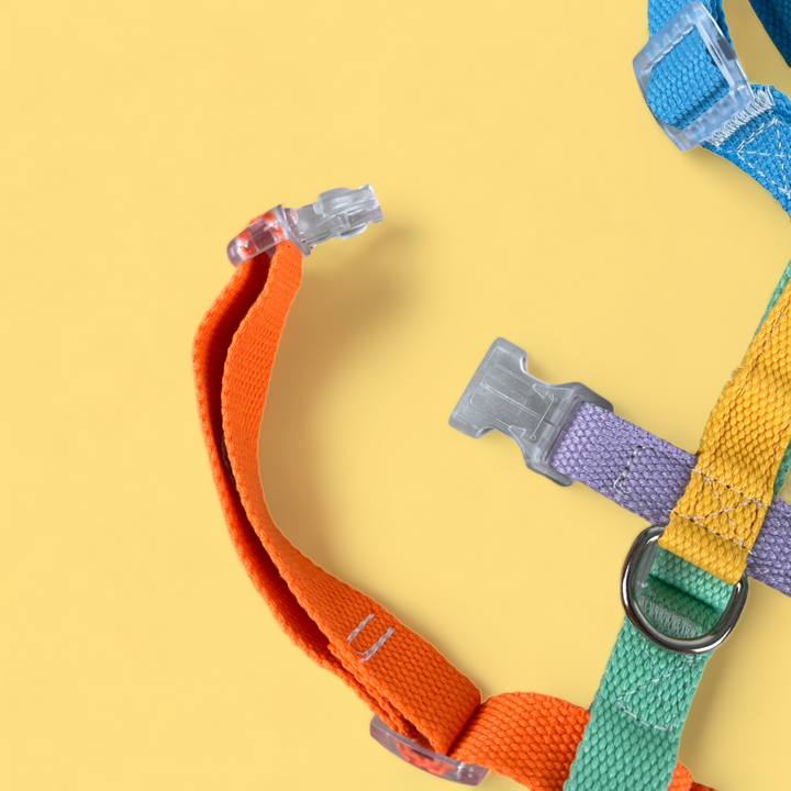 Double Strap Easy Peasy Harness - Rainbow
