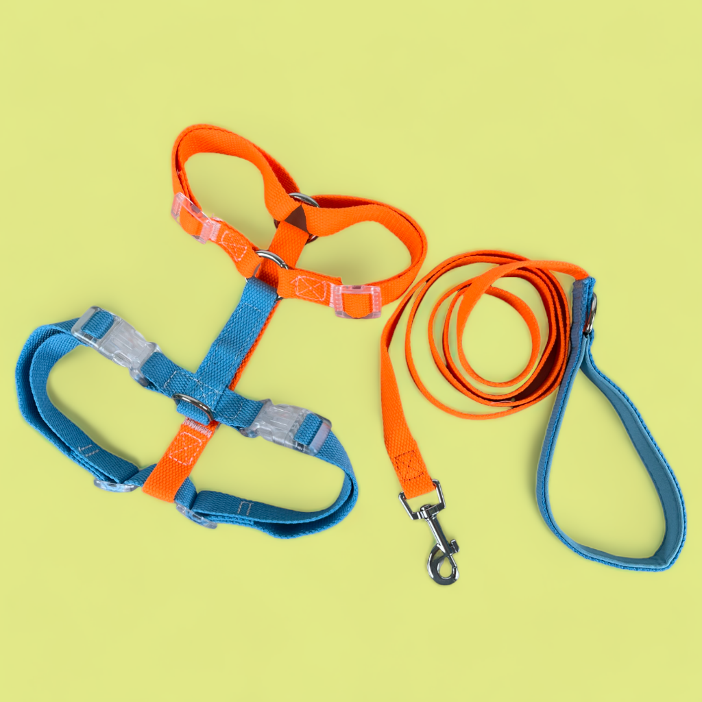 Double Strap Easy Peasy Harness - Electric Blue & Fanta