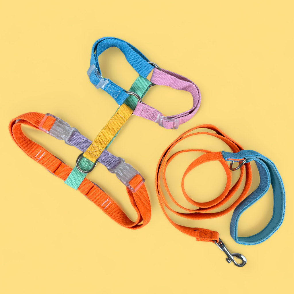 Double Strap Easy Peasy Harness - Rainbow