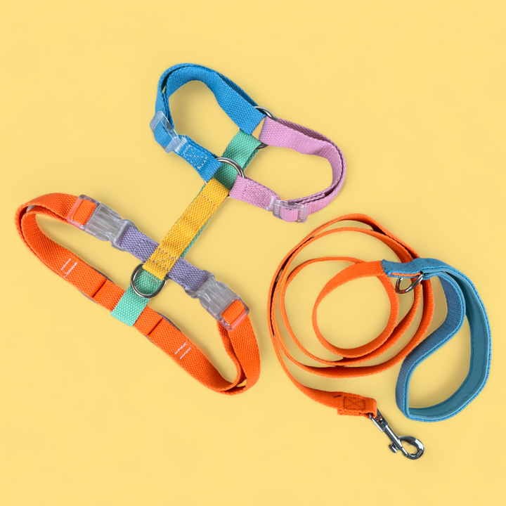 Double Strap Easy Peasy Harness - Rainbow