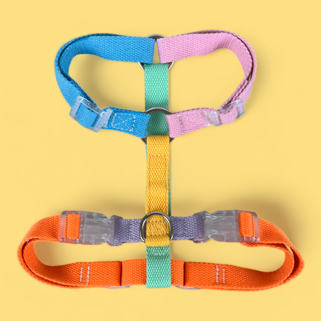 Double Strap Easy Peasy Harness - Rainbow