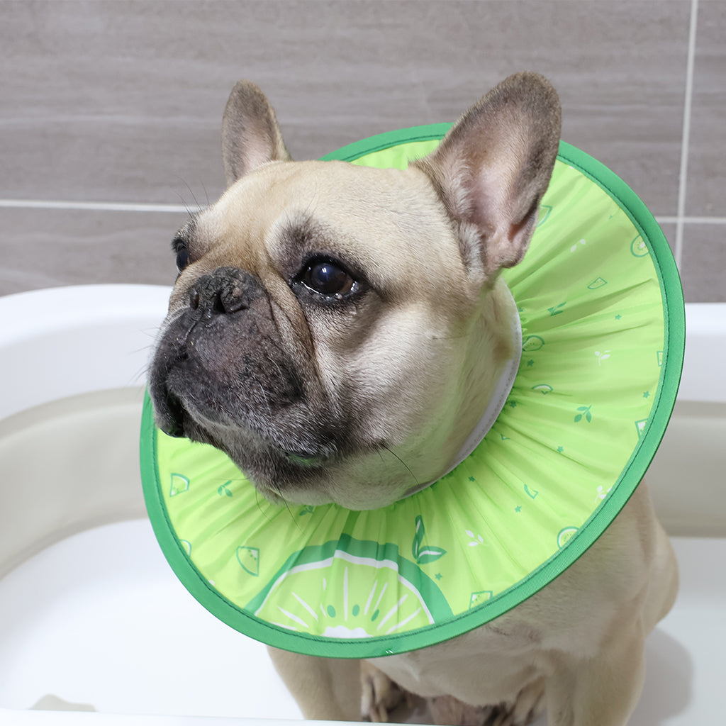 Doggo Shower Cap - Fruit