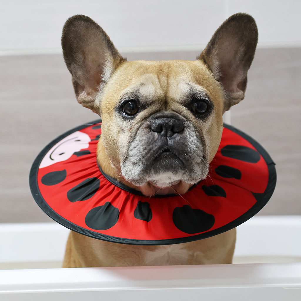 Doggo Shower Cap - Animals