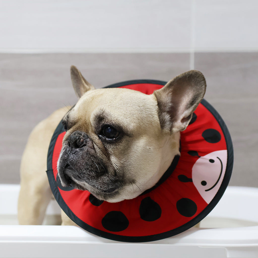 Doggo Shower Cap - Animals
