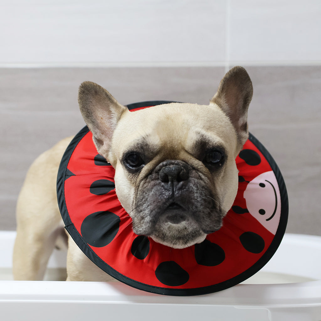 Doggo Shower Cap - Animals
