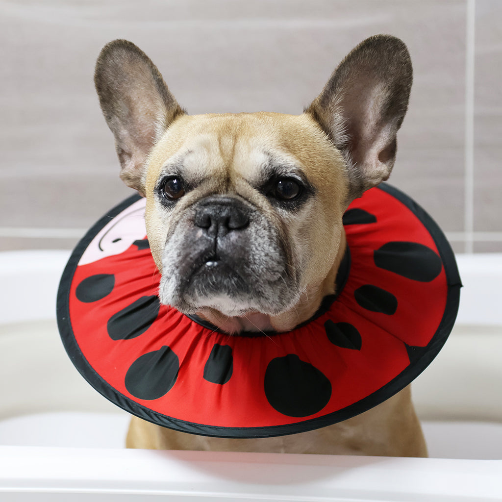 Doggo Shower Cap - Animals