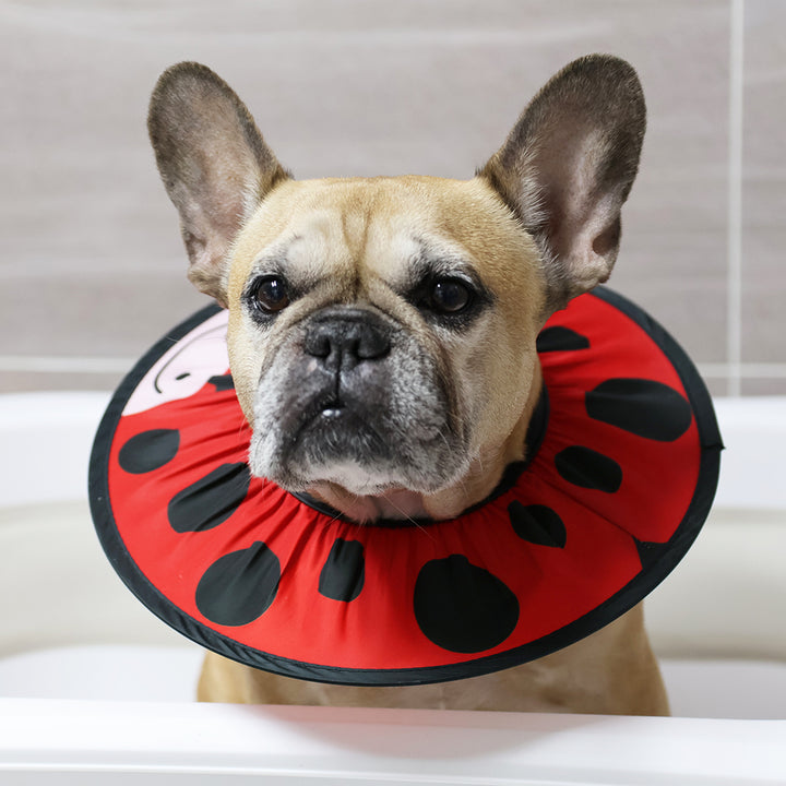 Doggo Shower Cap - Animals