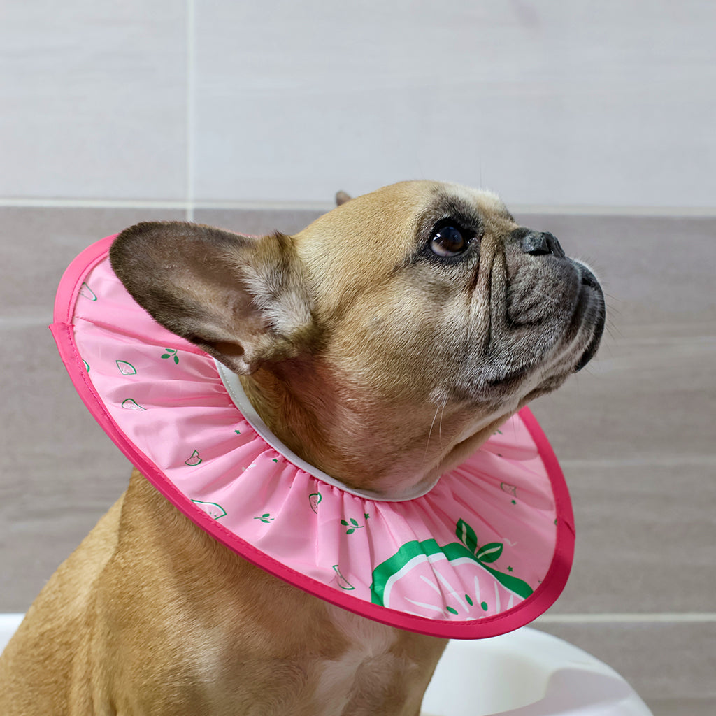 Doggo Shower Cap - Fruit