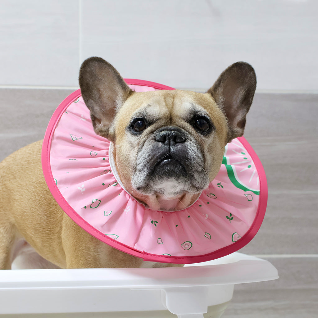 Doggo Shower Cap - Fruit