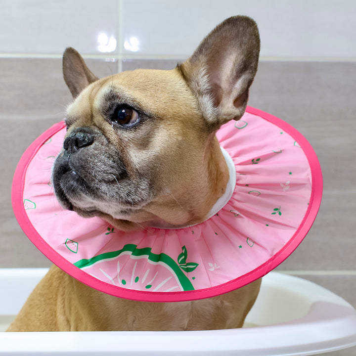 Doggo Shower Cap - Fruit
