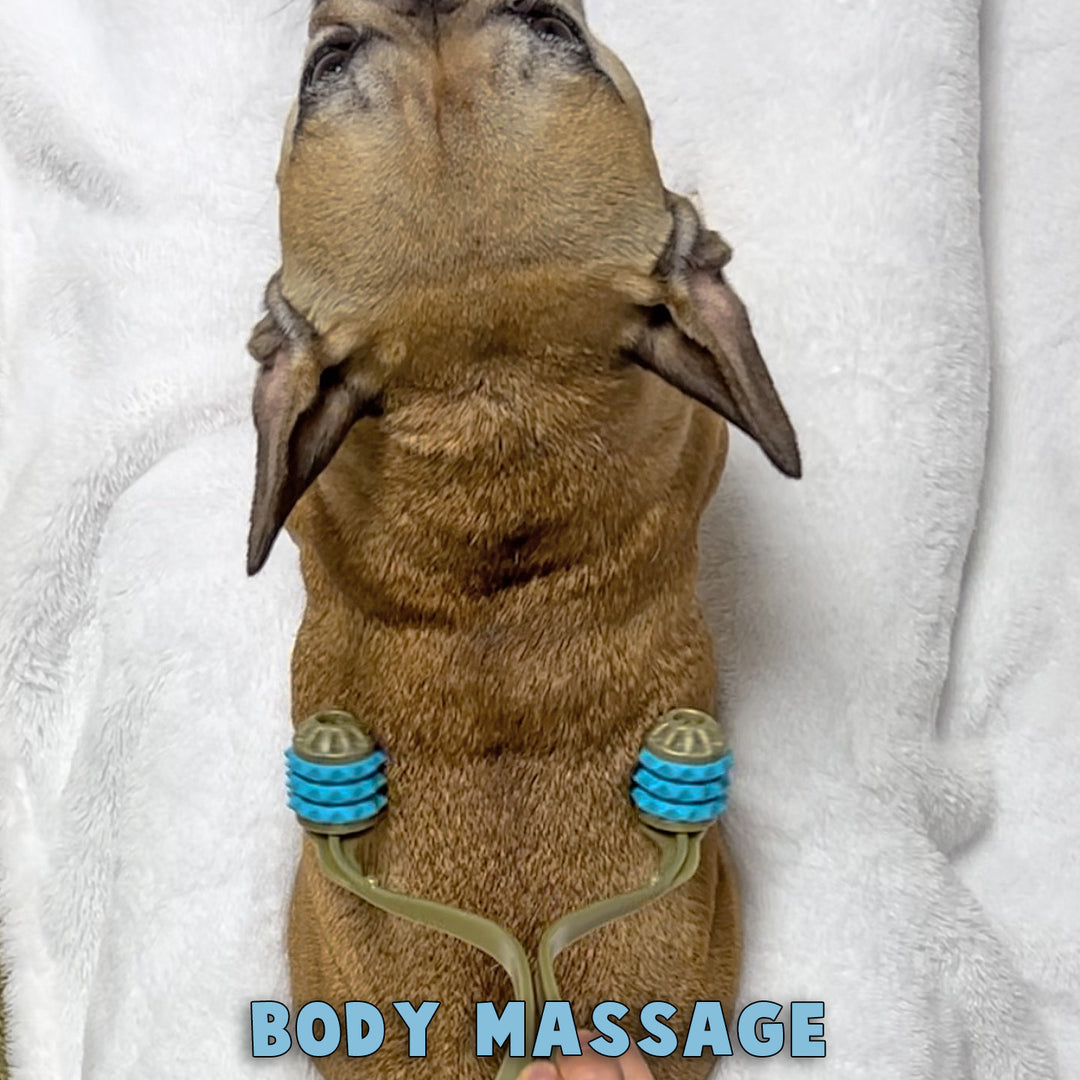 Multi Roller 3 In 1 Doggo Massager
