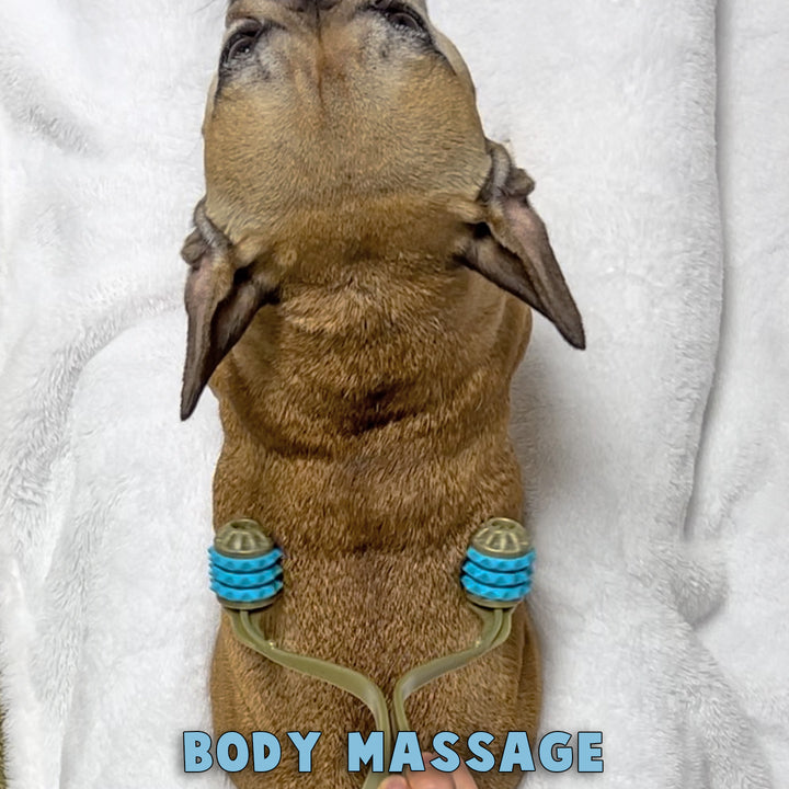 Multi Roller 3 In 1 Doggo Massager