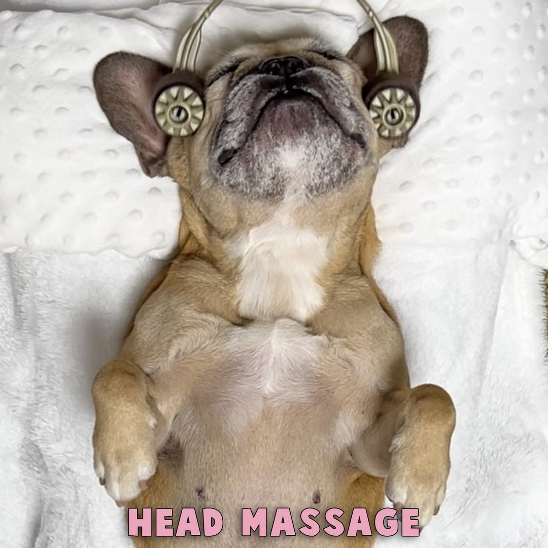 Multi Roller 3 In 1 Doggo Massager