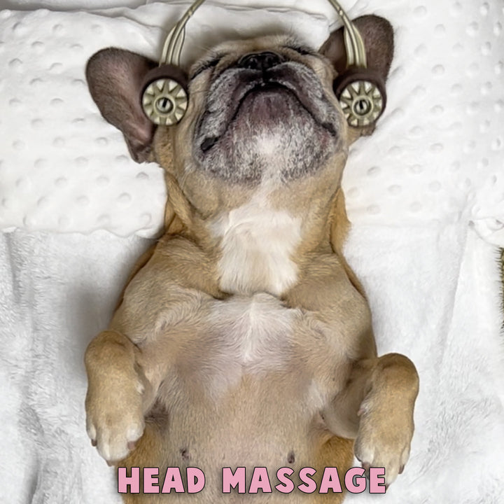 Multi Roller 3 In 1 Doggo Massager