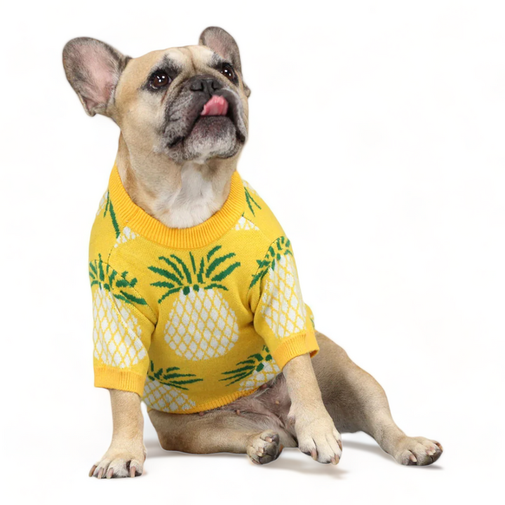 Pineapple Sweater