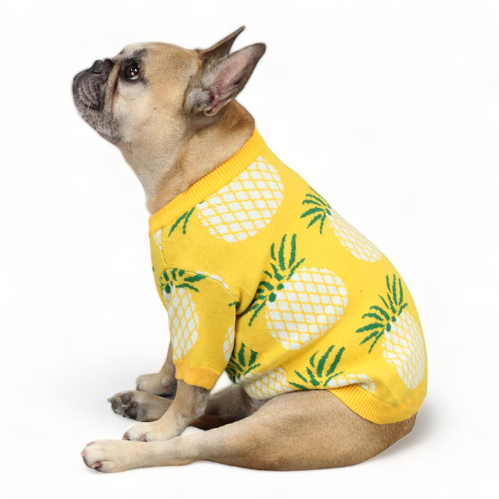 Pineapple Sweater