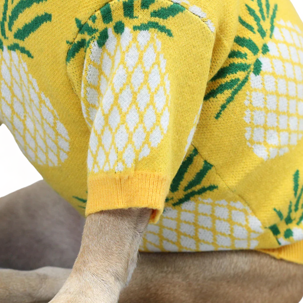 Pineapple Sweater
