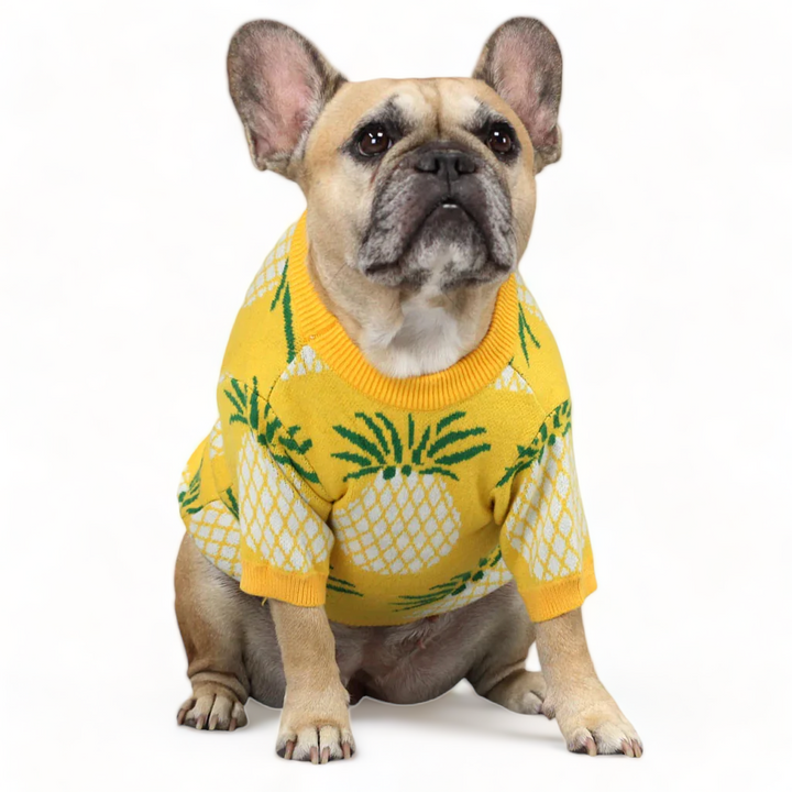 Pineapple Sweater