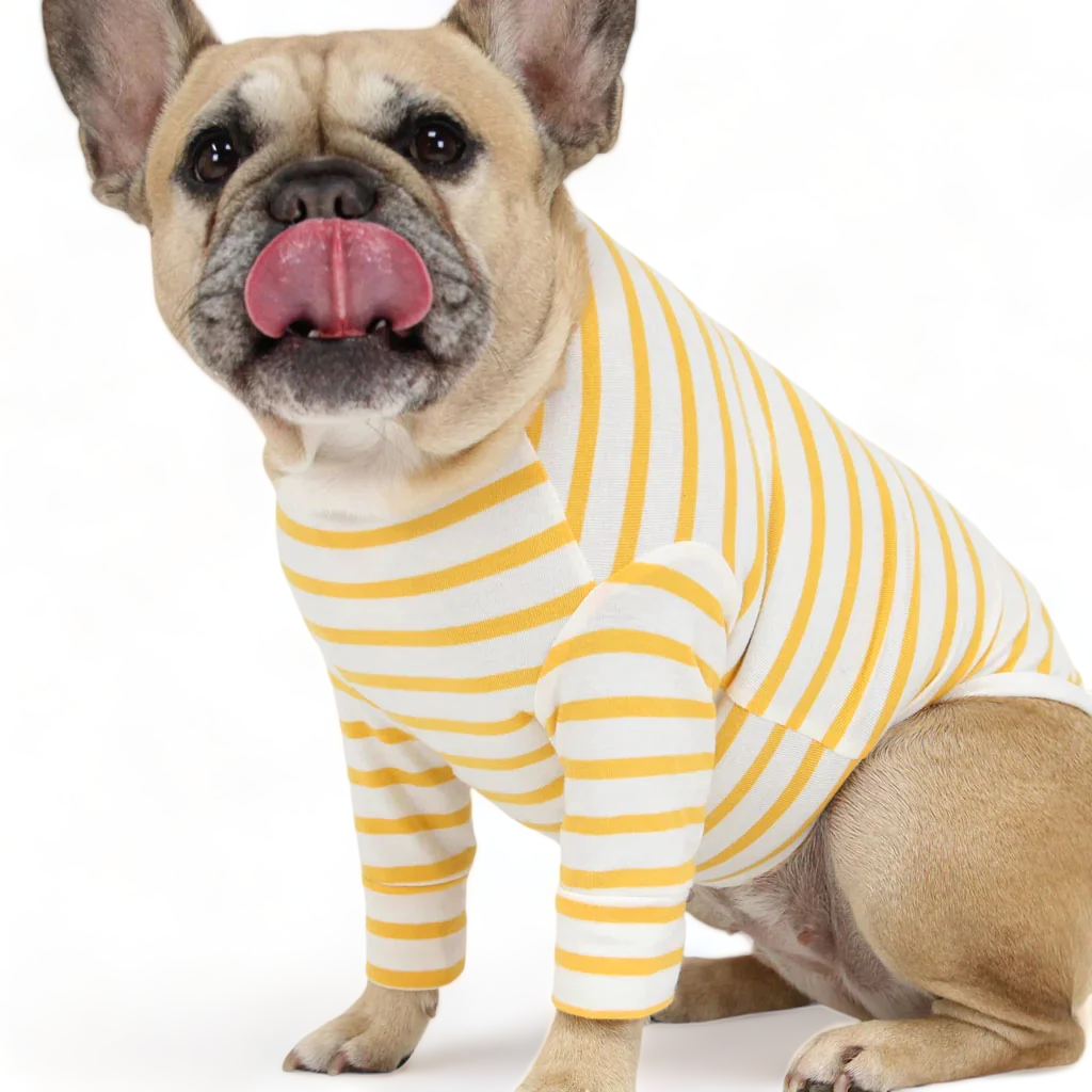 Striped store french bulldog